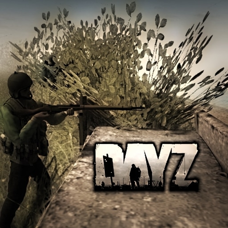 Dayz workshop. Dayz workshop