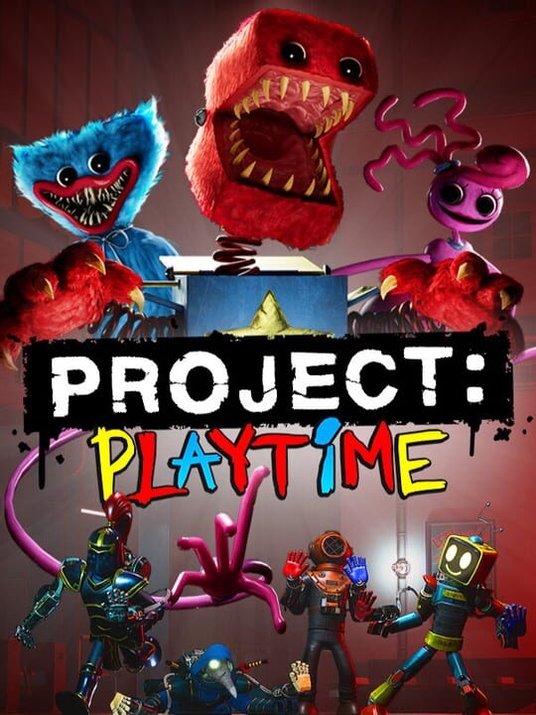 Project Playtime